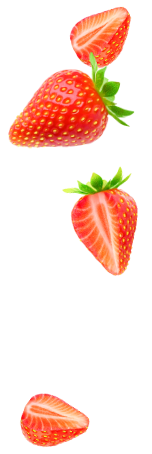Strawberry & Cream